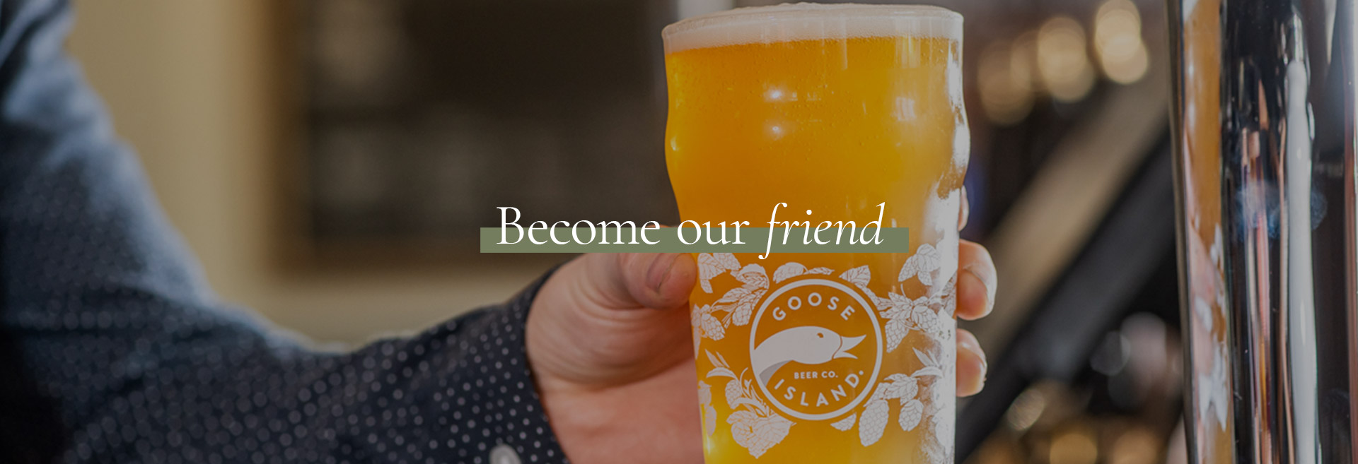 Sign up to the newsletter at The White Horse