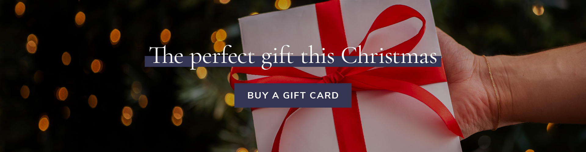 View our events for the upcoming holiday season