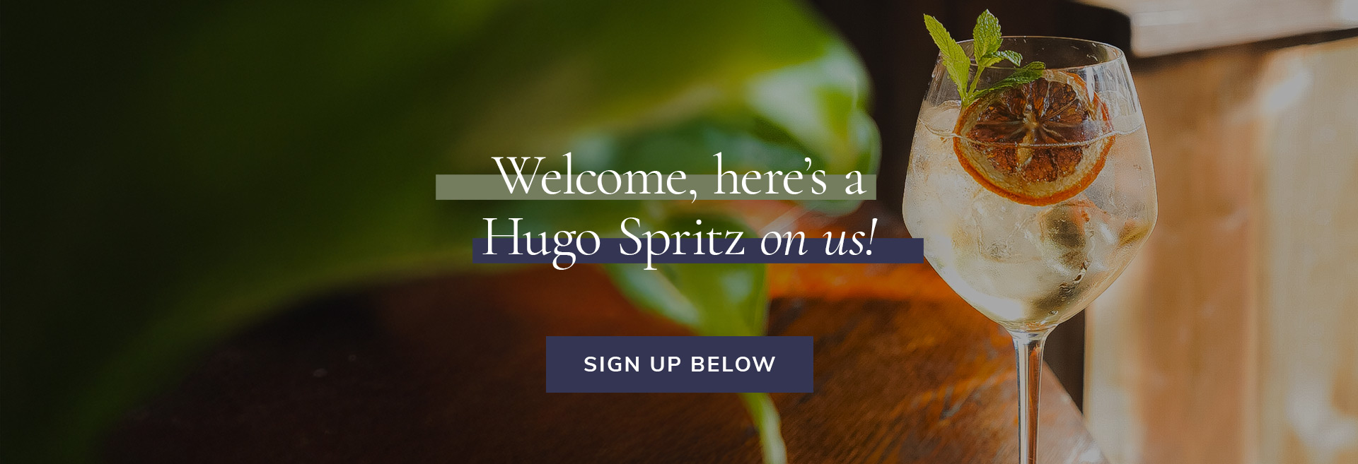 Sign up to the newsletter at The White Horse
